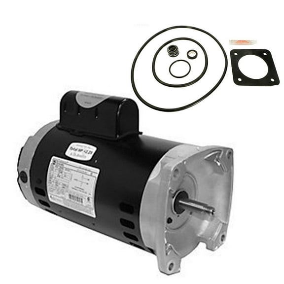 Puri Tech Replace Pump for Sta-Rite Max-E-Glas 2HP PE6G-184L AO Smith Century SQ1202 with GO-KIT-54