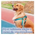 thumbnail image 5 of Kit de arnés y correa para Mascotas Elegate Talla M roja, 5 of 5