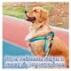 thumbnail image 5 of Kit de arnés y correa para Mascotas Elegate Talla M roja, 5 of 5