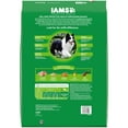 thumbnail image 3 of Iams Proactive Health Minichunks Dry Dog Food With Real Chicken And Whole Grains, 15 Lb. Bag, 3 of 12