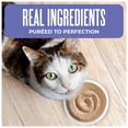 thumbnail image 2 of Tiki Cat Born Carnivore Wet Cat Food, Mousse, Tuna & Salmon Recipe in Tuna Broth, 2.4 oz. Pouch, 2 of 9