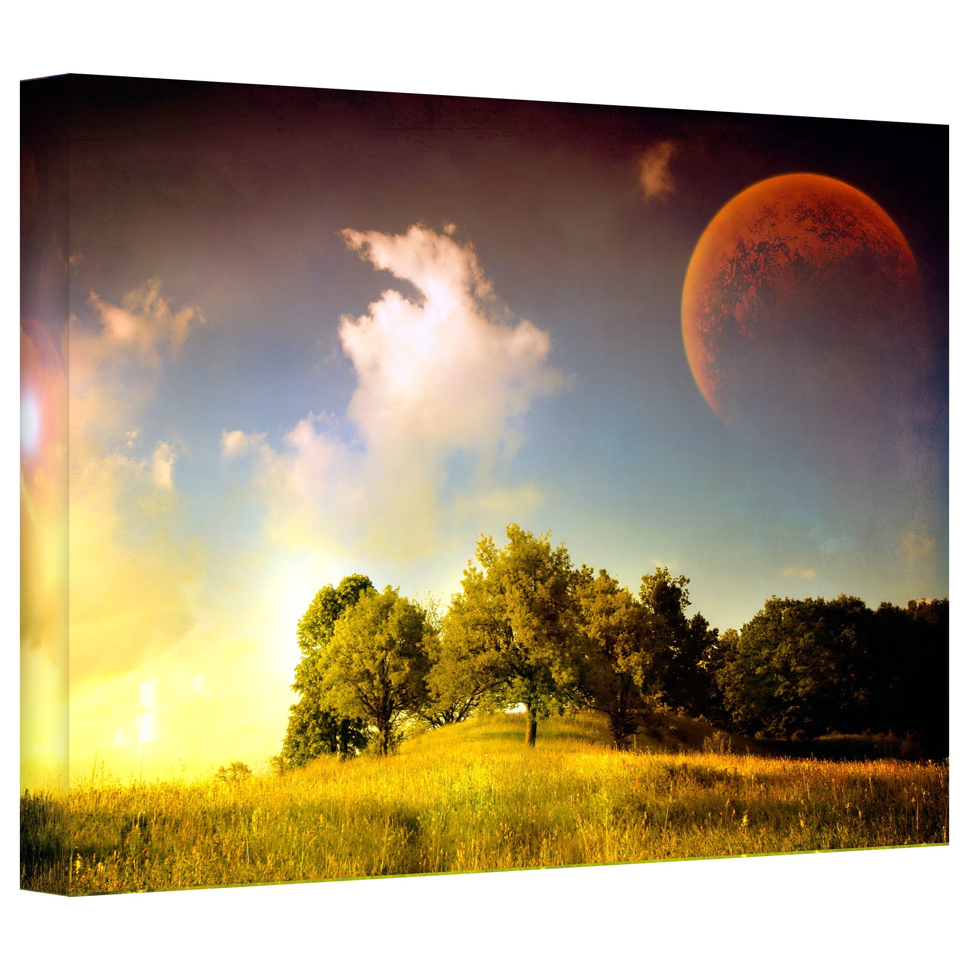 ArtWall Dragos Dumitrascu "Everlasting Season" Gallery-wrapped Canvas