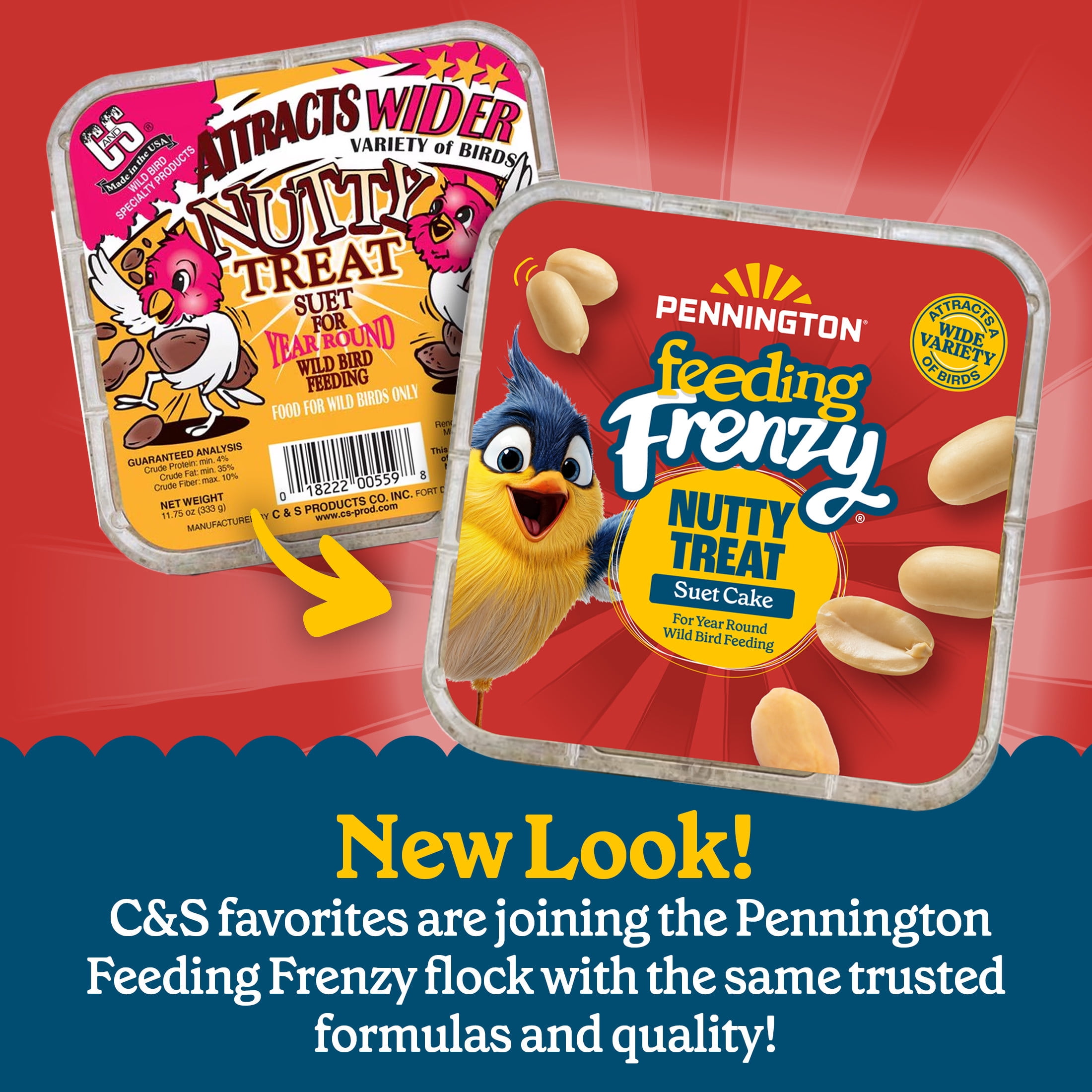 (12 pack) Pennington Feeding Frenzy Nutty Suet Treat, 11.75 oz, Wild Bird Food. 1 Pack, Fresh