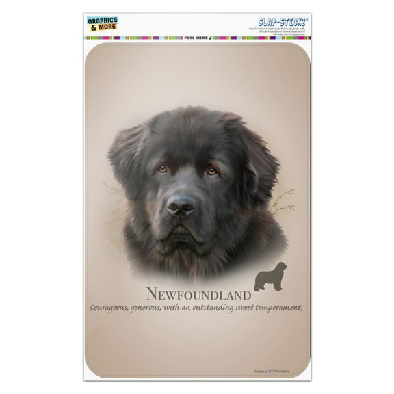 Newfoundland Dog Breed Home Business Office Sign