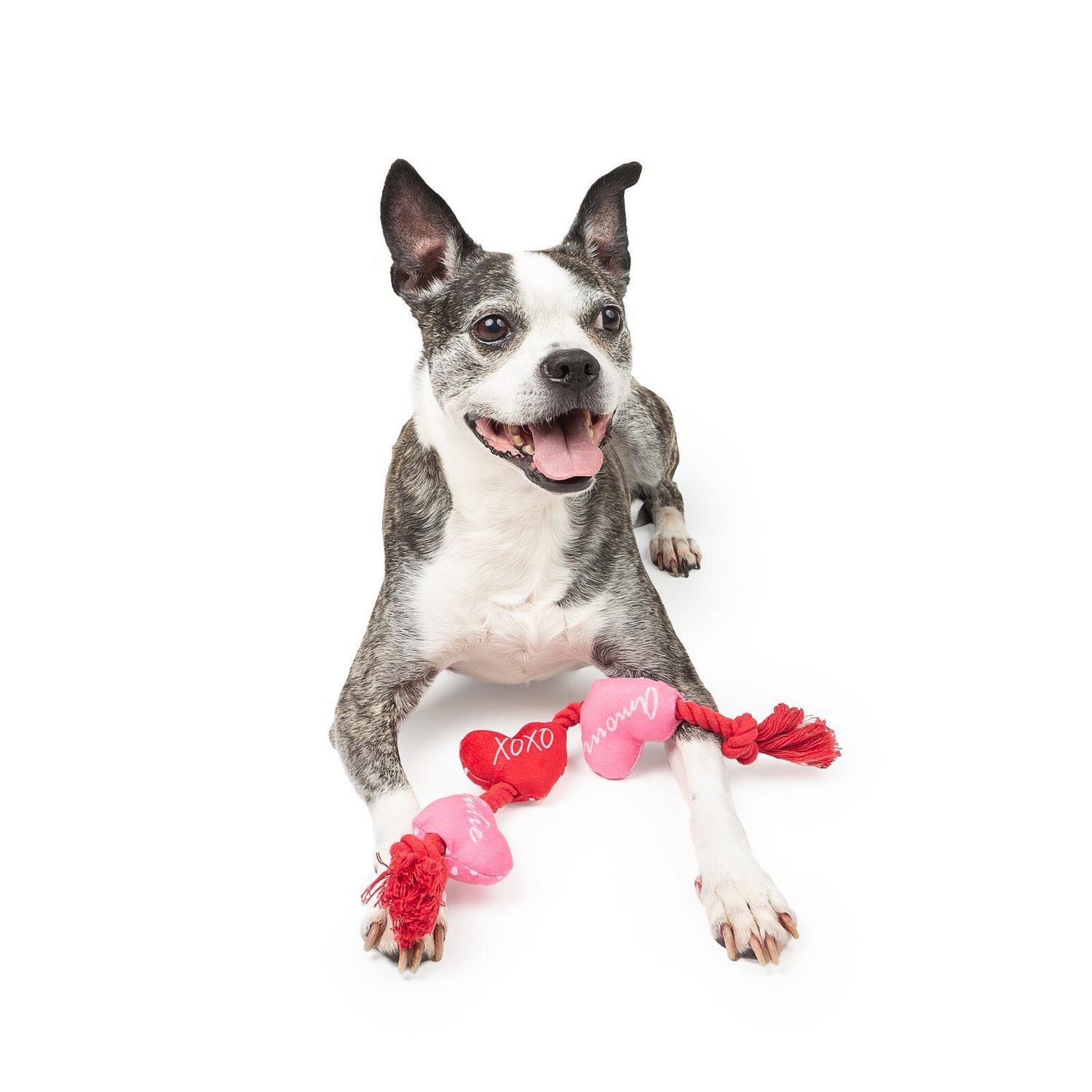 One Paw, Jouet Corde de la Saint-Valentin pour Chien avec Cœurs, Rouge et Rose, Jouet de Tir à la Corde