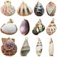 thumbnail image 1 of 12 piezas de colgantes de concha natural, dijes de concha marina natural para pulseras, collares y bisutería, decoraciones de acuario, llaveros y decoración del hogar, 1 of 5