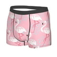 thumbnail image 2 of Haiem Pink Flamingo Men's Boxer Briefs, Every Day Comfort Stretch Cotton Moisture-Wicking Underwear-XX-Large, 2 of 9