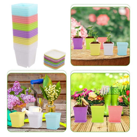 RENACLIPY Set of 24 Colorful Rectangular Plant Pots for Indoor Gardening, Small Plants, Herb Growing and Home Decor