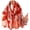 Red(sl2409-002), variant on Travel Boho Scarf for Women Casual Lightweight Fashion Multicolor Shawl Wraps with Fringed Beads