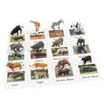 thumbnail image 3 of 12 piezas de minifiguras de animales Realistas Zulema Tarjetas de Figuras Realistas, 3 of 8