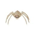 thumbnail image 1 of 20" Spider Skeleton Decoration, 1 of 1