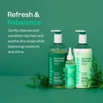thumbnail image 2 of Set de champú y acondicionador RENPURE Tea Tree & Rosemary 720ml, 2 of 7