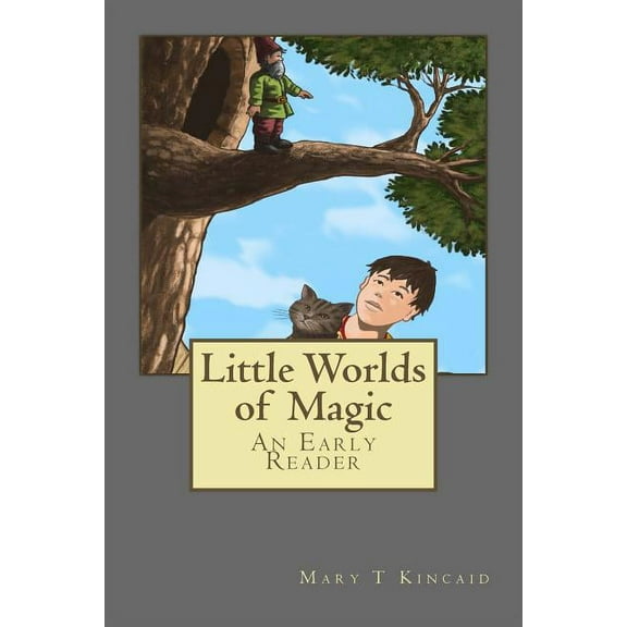 Little Worlds of Magic (Paperback)