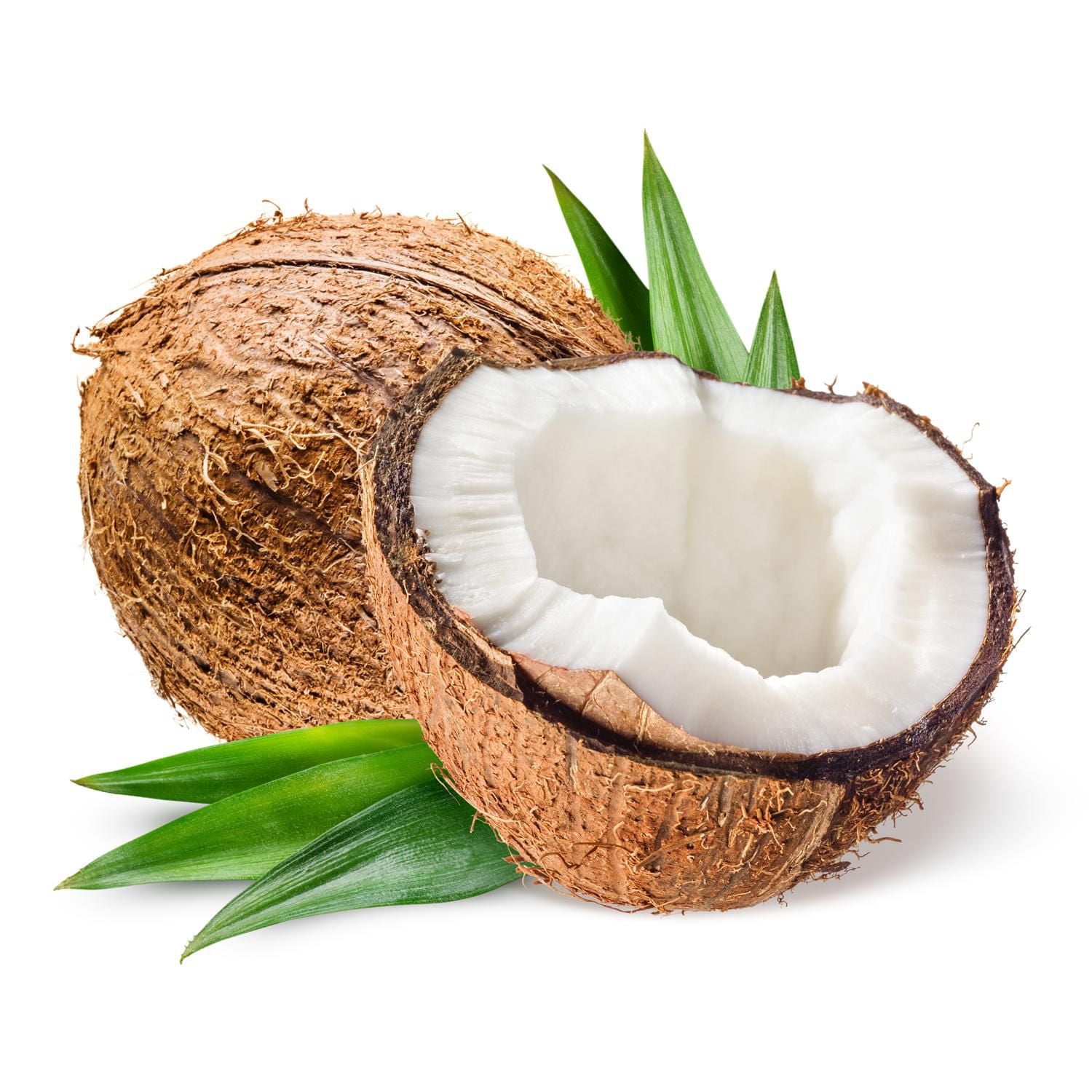 Girls With Curls Coconut Curl Gelee