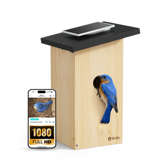 tek NT77345 HIXX Smart Bird Feeder with Birdwatching Camera