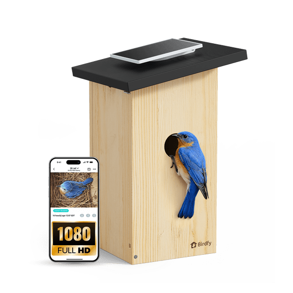 Birdfy Smart Bird Houses for Outside Solar Powered, 1080P HD Live View Bird House with Camera, Perfect Viewing Bird Nesting and Hatching, Bird Feeder with Camera for Most Birds