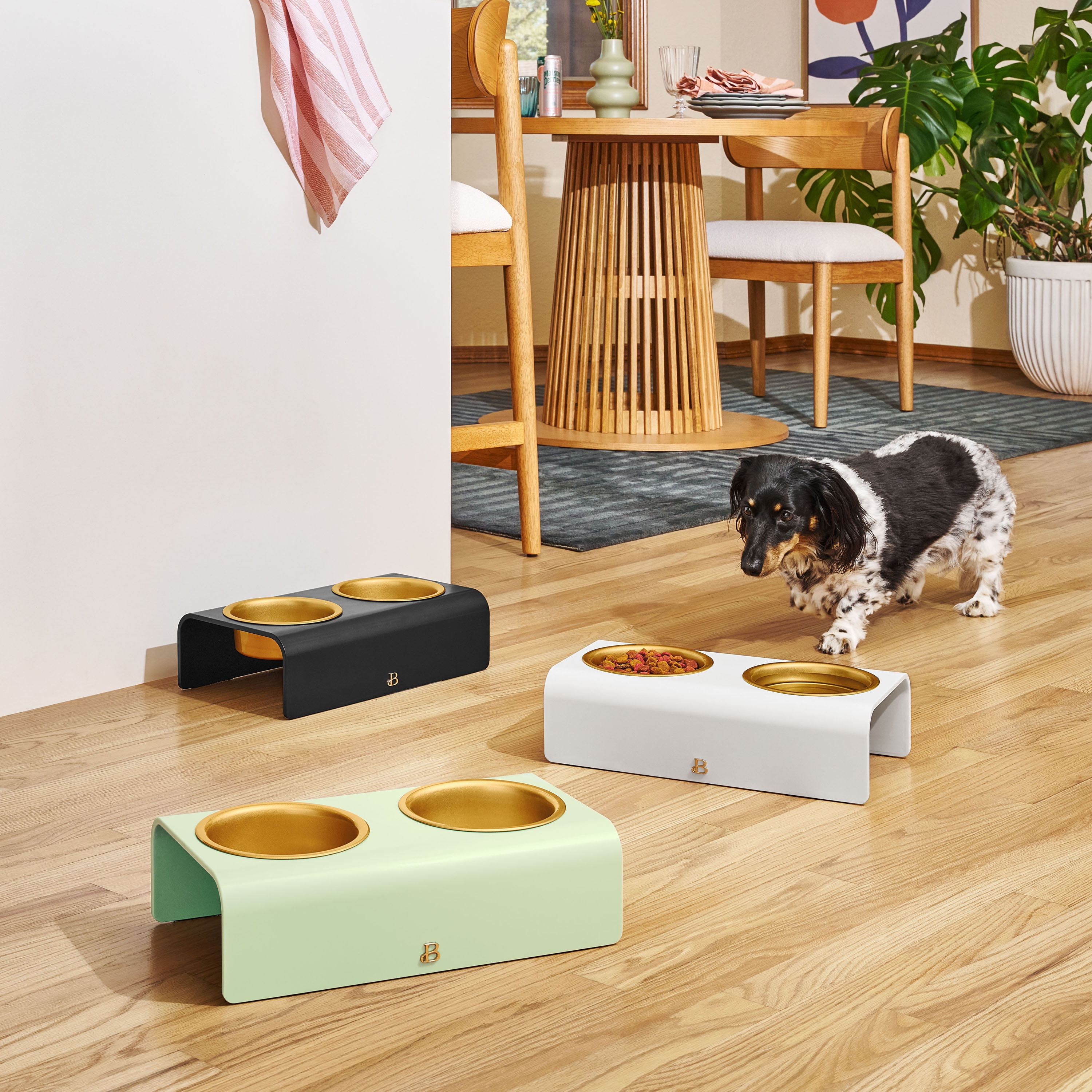 Beautiful Double Elevated Stainless Steel Pet Bowl, 3-Cup, White by Drew Barrymore