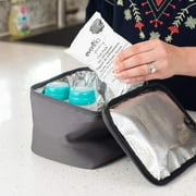Evenflo Feeding Grey Pumping Accessories Tote - 33 Count, 1 Pack