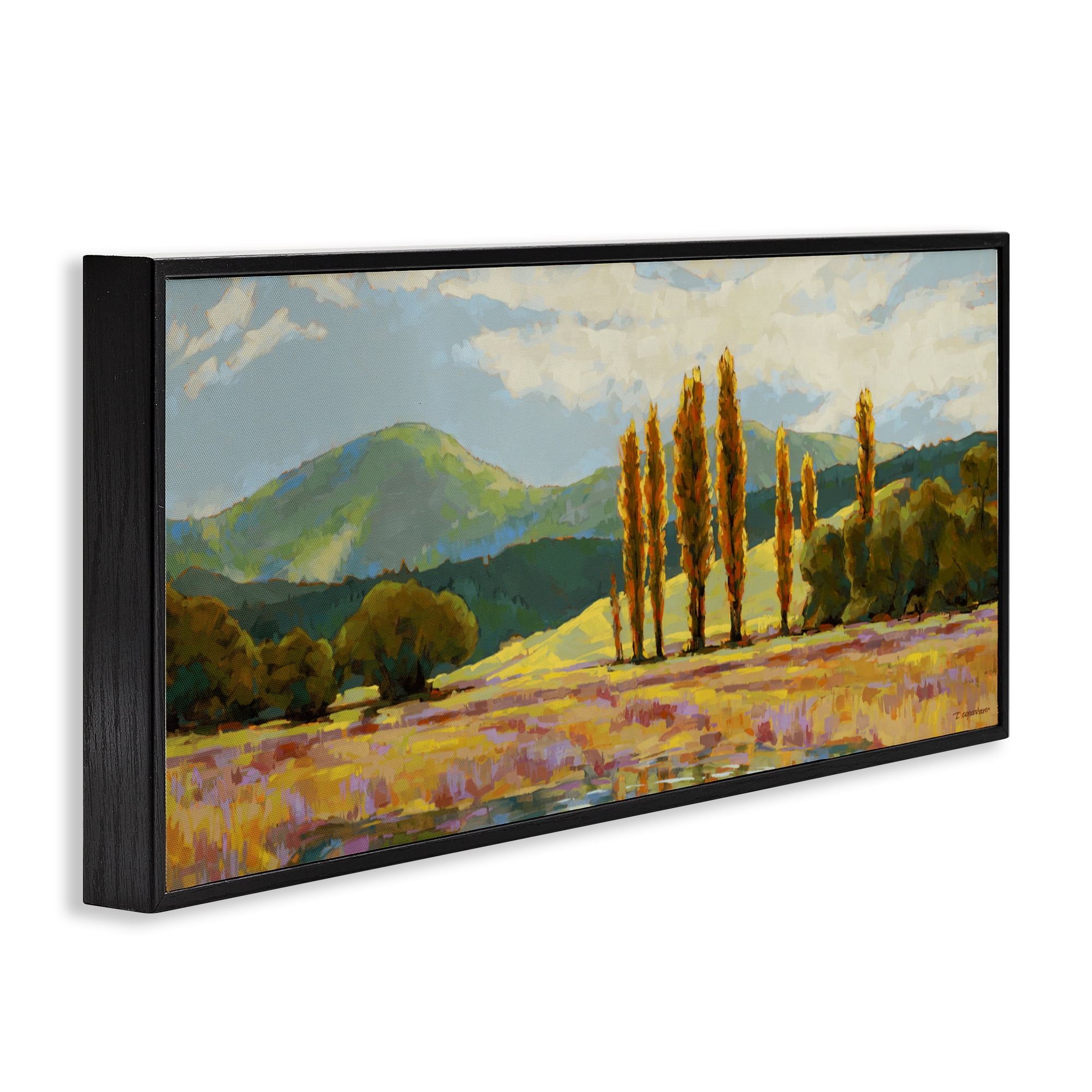 Stupell Industries Vast Subdued Countryside Black Framed Giclee Art, design by Trevor Copenhaver
