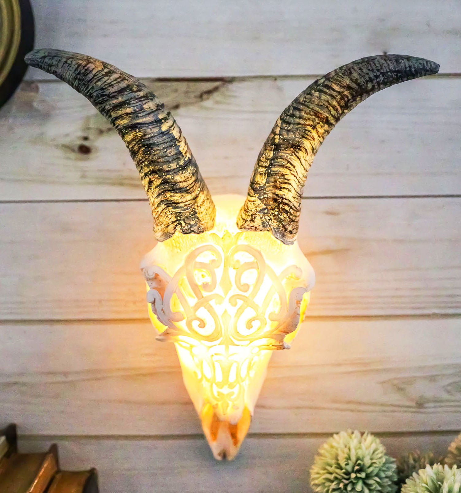 Real Ram Skull Sheep Animal Taxidermy Art Horns Gift Decor Wall Table Decoration 