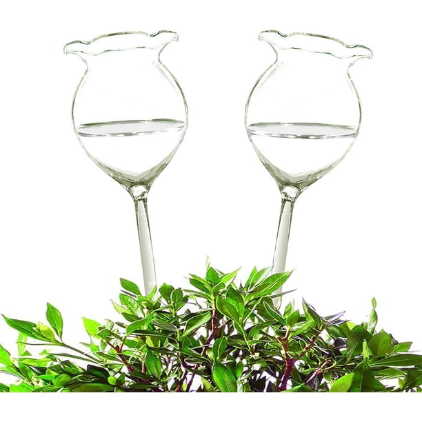 Nature's Nurturer, globos de riego automático de vidrio transparente de aplicación versátil, bebederos automáticos para plantas con flujo de agua ajustable, estéticos y reutilizables, diseño en forma