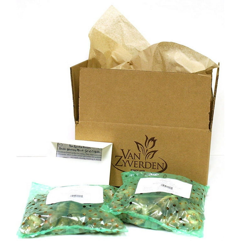 Van Zyverden Tulips, Triumph Mixture, Set of 25 Bulbs Part Van Zyverden Tulips, Triumph Mixture, Set of 25 Bulbs Part