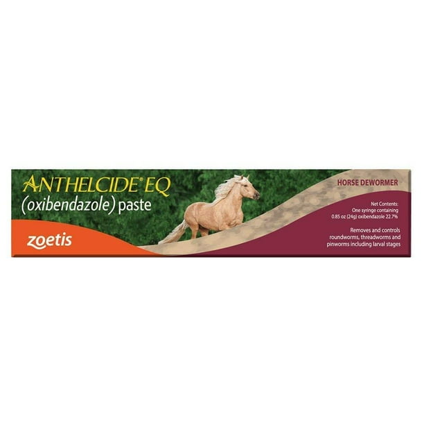Zoetis Animal Health Anthelcide Eq Paste 24gm Broad Spectrum Anthelmintic Removes And Controls A Variety Of Equine Worms By Pfizer Usa Walmart Com