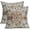 Boho-brown, variant on Orange Blue Boho Pillow Covers 20x20 Inch Bohemian Carpet Vintage Ethnic Couch Pillow Cases Rust Coral Floral Throw Pillows Set of 2 Rustic Home Decor for Living Room Bedroom Bed Cushion Outdoor