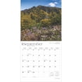 thumbnail image 4 of BrownTrout, Great Smokies 2025 Wall Calendar, 4 of 4