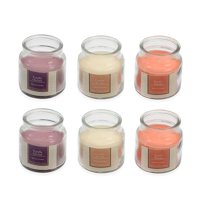 Set of 6 Bell Jar Wick Candles Scents Exotic Mango Vanilla Orchid Cotton Fresh Pure Beeswax Scented Smokeless Gifts for Women 4oz