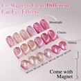 thumbnail image 2 of Set de esmaltes en gel para ojos de gato Double Rhythm, 6 colores con imán, 7,5 ml, 2 of 9
