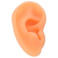 thumbnail image 2 of Modèle d'Oreille, Moule d'Affichage d'Oreille Imperméable pour l'Hôpital Gauche, 2 of 8
