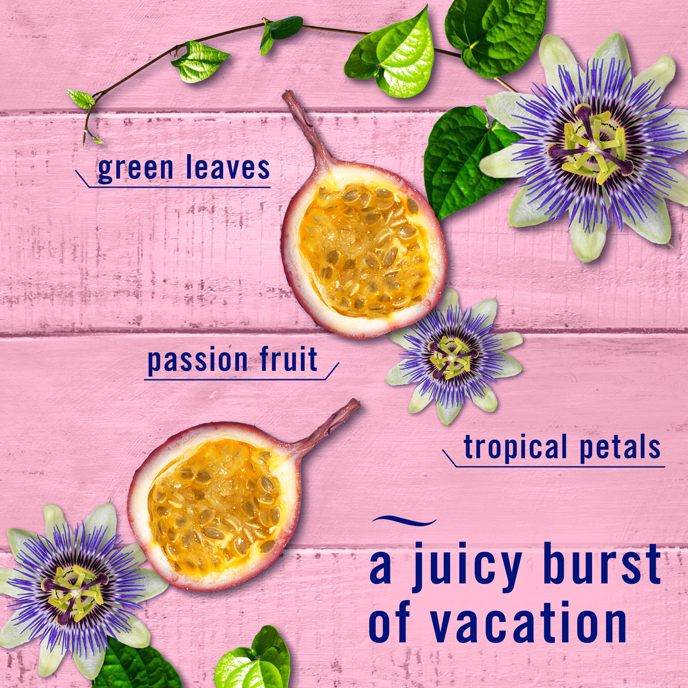 (6 pack) Febreze Plug In Air Freshener Scented Oil Refill Passion Fruit, 2 Count