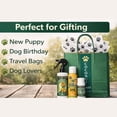 thumbnail image 4 of Coconut Coast Outdoor Adventure Dog Gift Bag 3-Step Care Trio Detangler, Paw and Nose Balm, and Sunscreen Spray, 4 of 5