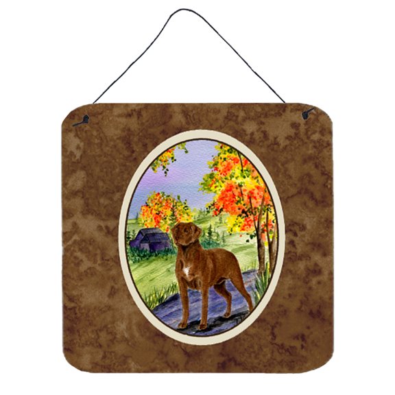 Carolines Treasures SS8427DS66 Chesapeake Bay Retriever Aluminum Metal Wall or Door Hanging Prints, 6 x 6", Multicolor