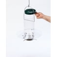 thumbnail image 6 of Birds Choice 12" Classic Hanging Bird Feeder with Baffle Weather Guard, Green, 6 of 10