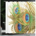 thumbnail image 4 of Ambesonne Spring Shower Curtain, Modern Peacock Feathers, 69"Wx84"L, Blue Green Pale Brown, 4 of 5