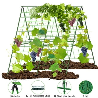 Cucumber Trellis for Raised Bed, 63 x 45 inch U-Shape Garden Trellis for  Climbing Plants Outdoor, Metal Detachable Vegetables Trellis Support for  Tomato, Squash, Zucchini - Walmart.com