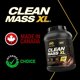 thumbnail image 4 of Serie PVL Gold - Clean Mass XL - El ganador de masa muscular limpia - 10 LB - Pastel de chocolate triple, 4 of 5