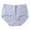 Light Blue, variant on Annhoo Womens Briefs Underwear Seamless Elastic Waist Breathable Underpants Comfort No Show Leakproof Trendy Panties