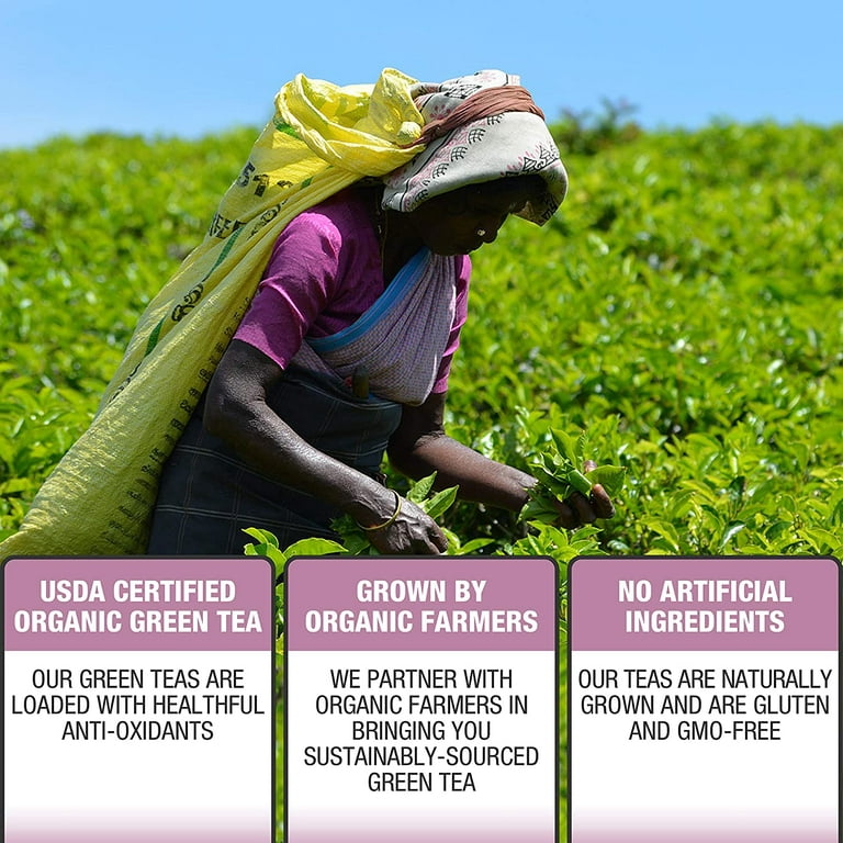 BREW LA LA TEA Organic Passionfruit Green Tea 50 tea bags