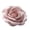 C, variant on 3D Floral Pattern Decorative Carpet Washable Non- Absorbent Mat for Home Bedroom Living Room Bathroom