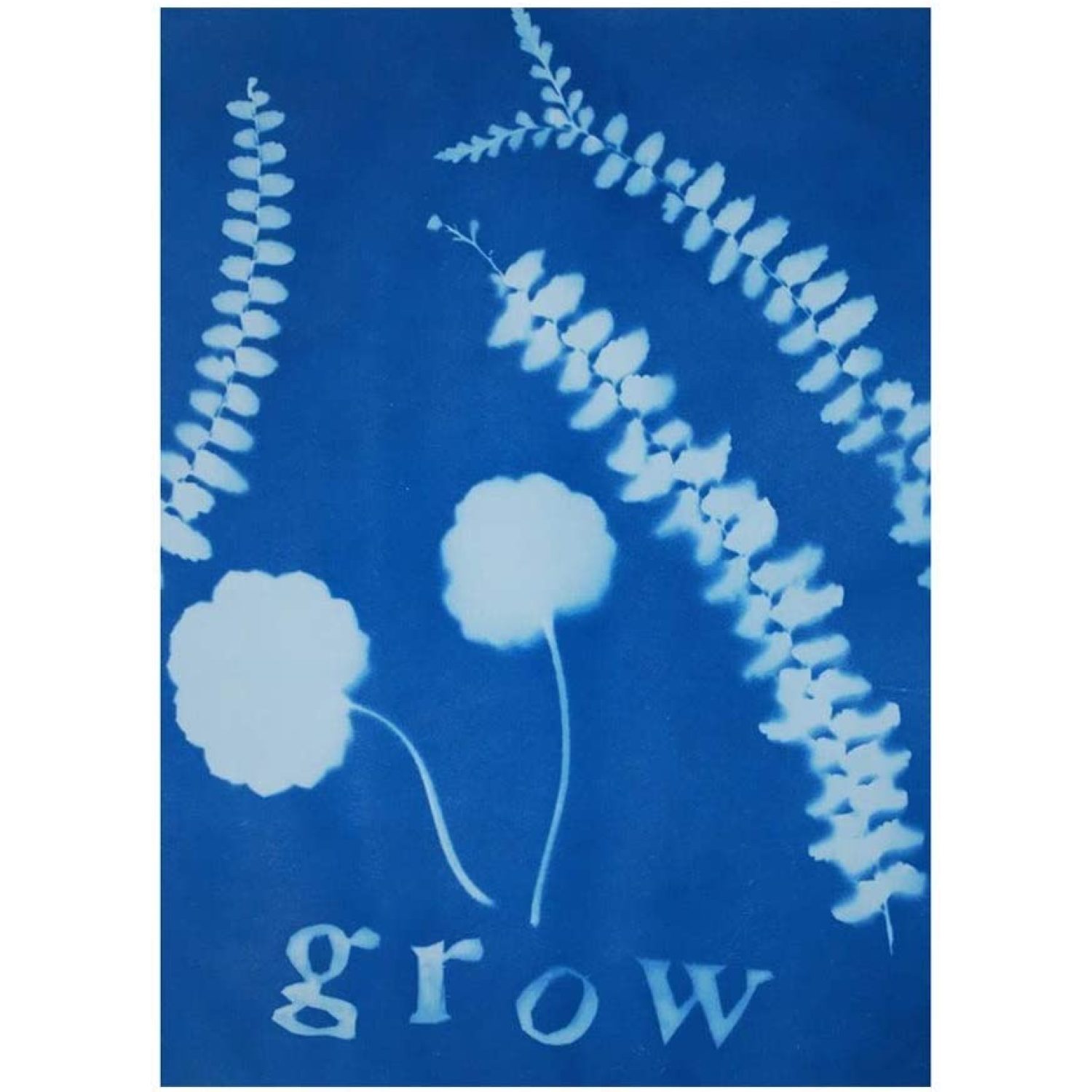 Sun Art Paper Kit 5x7, 12 Sheets of 5x7 Sun Art Paper