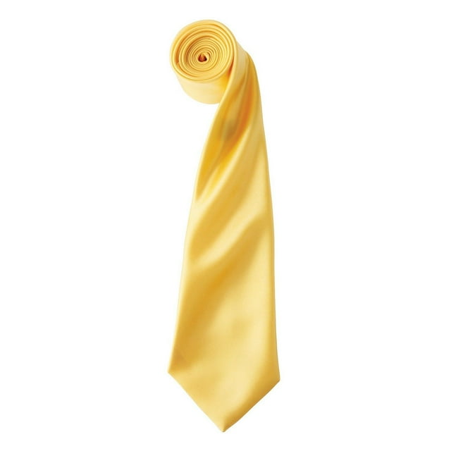 Premier Cravate en Satin Couleurs Adultes