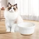 thumbnail image 1 of Tazón calefactor para mascotas, calentador de tazas USB, posavasos térmicos inteligentes constantes de 55 C con taza de cerámica, calentador de café, , blanco 300ml Macarena Cuenco calefactor para mascotas, 1 of 8