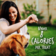 thumbnail image 4 of Fruitables Baked Dog Treats – Pumpkin Treats for Dogs – Healthy Low Calorie Treats – Free of Wheat, Corn and Soy – Pumpkin and Banana – 12 Ounces, 4 of 7