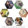 thumbnail image 3 of Halloween Cowboy Rider Pet Costume: Funny Outfit with Doll & Hat - For Small/Medium/Large Dogs - Various Sizes, 3 of 10