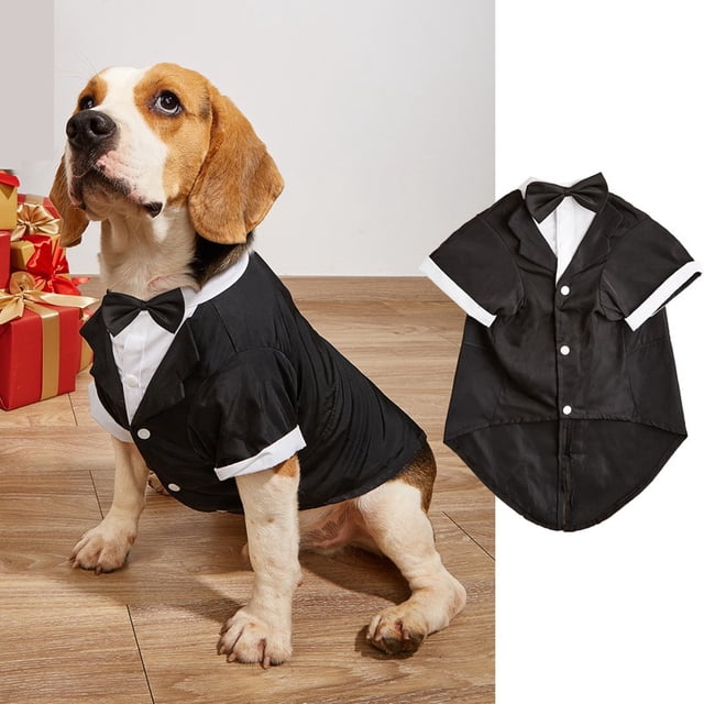 Xiao Hua Camiseta para perro y gato, camisetas transpirables para mascotas, sudadera para cachorro, ropa para perro, abrigos para perros pequeños, medianos y gatos, XXL, A45