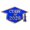 31, variant on Stylish 2026 Academic Cap Brooch Badge Pin For Graduates Zn Alloy Drip Oil Chest Pin