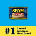 SPAM Spread, 3 Ounce Can - Walmart.com